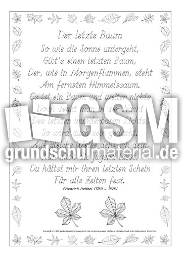 Nachspuren-Der-letzte-Baum-Hebbel-GS.pdf